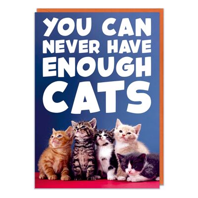 Sie können nie genug Katzen haben, lustige Geburtstagskarte