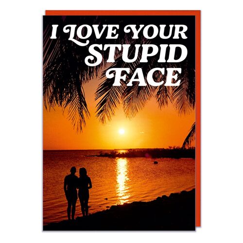 I Love your stupid face Funny Valentines Card