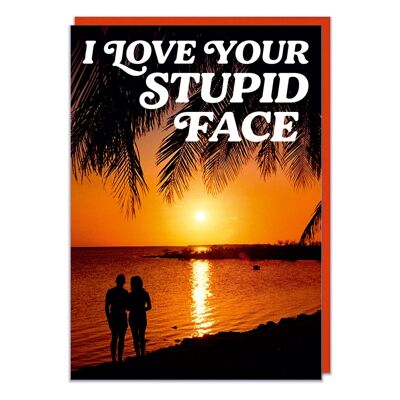 J'aime ton visage stupide Funny Valentines Card