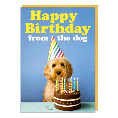 Alles Gute zum Geburtstag von der lustigen Geburtstagskarte des Hundes