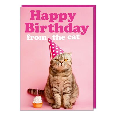 Joyeux anniversaire de la carte d'anniversaire drôle de chat