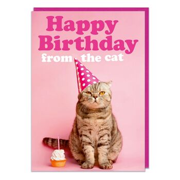 Joyeux anniversaire de la carte d'anniversaire drôle de chat 1
