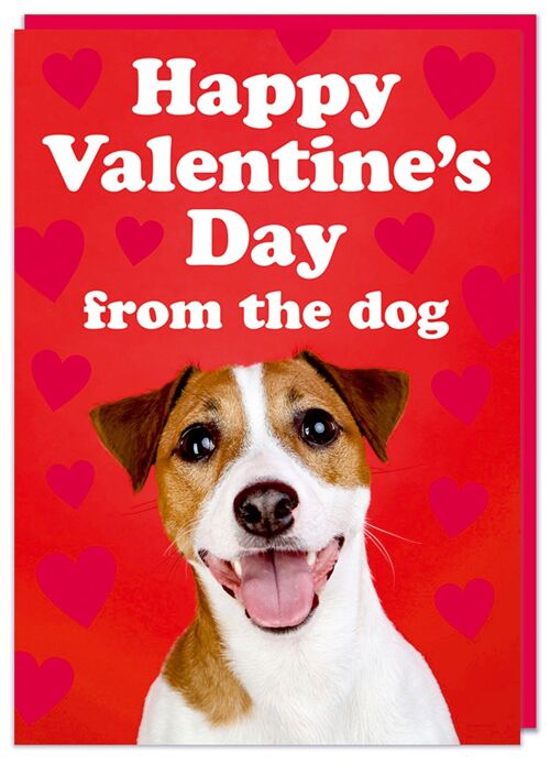 Happy Valentine's Day from the Dog Card
