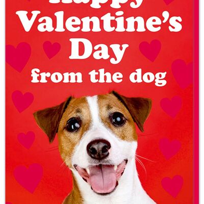 Feliz día de San Valentín de la tarjeta del perro