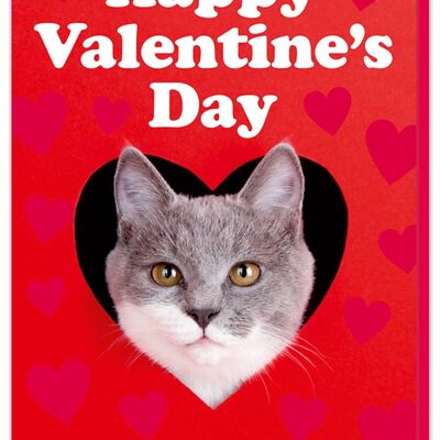 Feliz día de San Valentín de la tarjeta Cat
