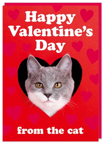 Carte Joyeuse Saint-Valentin de la part du chat 1