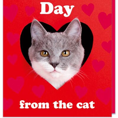 Happy Valentine's Day from the Cat Card