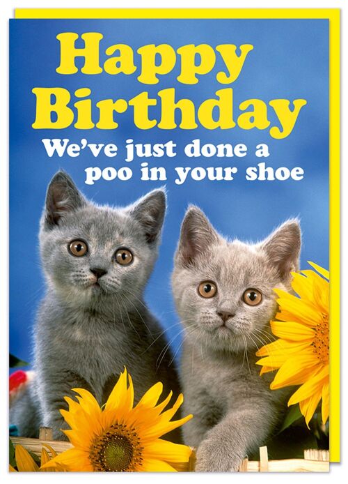 Cats done a poo in your shoe Birthday Card