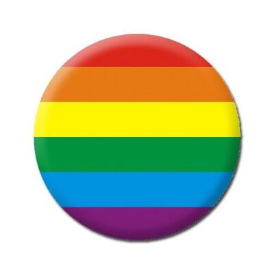Distintivo divertente bandiera arcobaleno