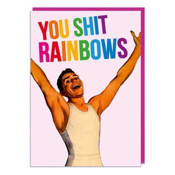 You Sh * t Rainbows Rude Carte d'anniversaire 1