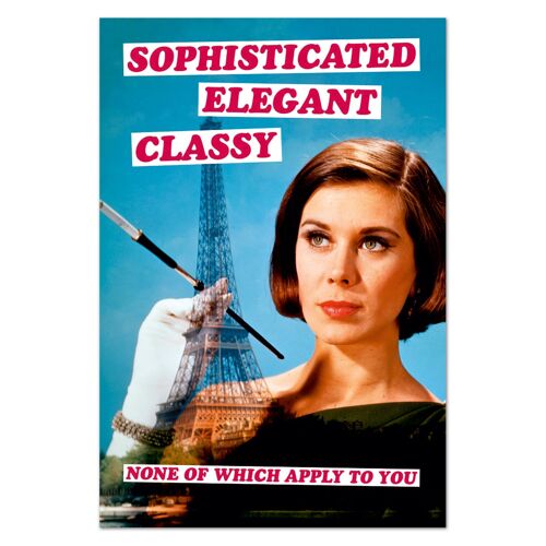 Sophisticated Elegant Classy Fridge Magnet Funny