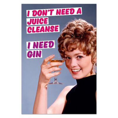 I Don't Need a Juice Cleanse I need Gin Funny Fridge Magnet