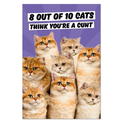 8 Out Of 10 Cats Rude Fridge Magnet
