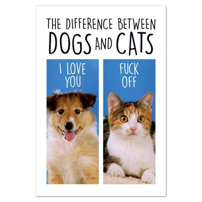Dogs and cats Funny Fridge Magnet