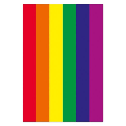 Rainbow Flag Funny Fridge Magnet