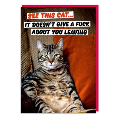 See This Cat - It Doesn't Give a F*** About You Leaving (LAR