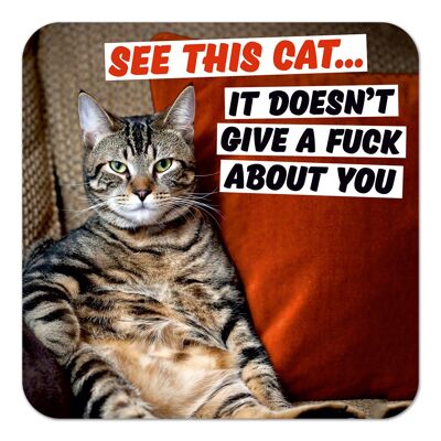 See This Cat. It Doesn't Give A F*** About You Rude Coaster