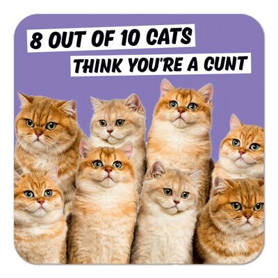 8 sottobicchieri maleducati su 10 gatti