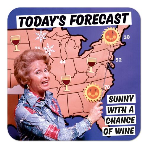 Today's Forecast Funny Coaster