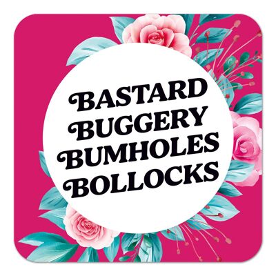 Bastard Buggery Bumholes B * llocks Rude Coaster