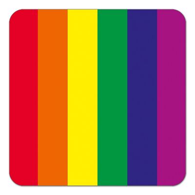 Rainbow Flag Funny Coaster