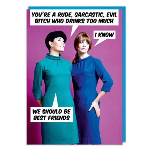 You're a Rude, Sarcastic, Evil Bitch Funny Birthday Cards