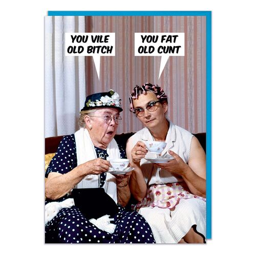 You Vile Old Bitch Rude Birthday Card