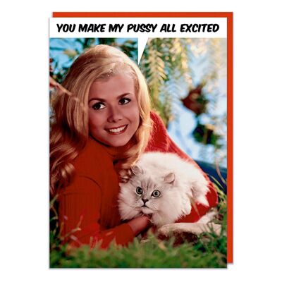 You Make My Pussy All Excited Funny Card