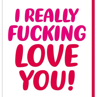 I really f'ing love you Valentines Card