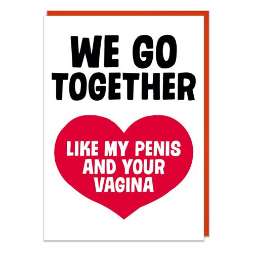 We Go Together Like My Penis and Your Vagina Rude Valentines
