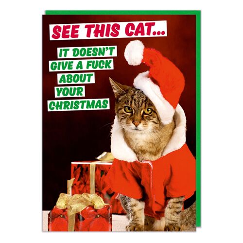 See This Cat. It Doesn't Give A F*** About Your Christmas Ca