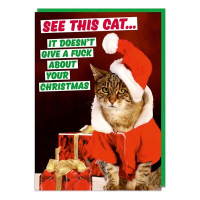 Ver este gato. No le importa una mierda tu Navidad Ca