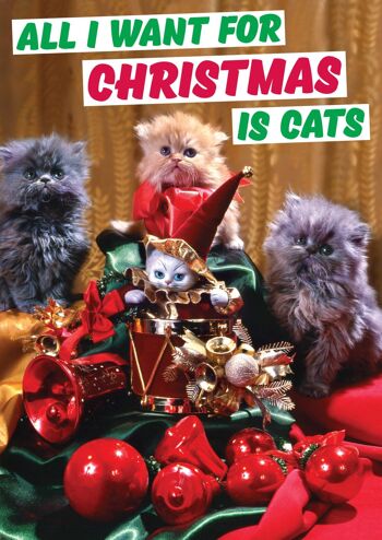 Tout ce que je veux pour Noël, c'est une carte de Noël drôle de chats 2