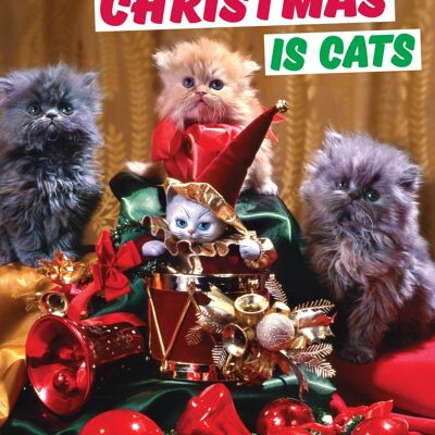 All I Want For Christmas Is Cats Funny Christmas Card