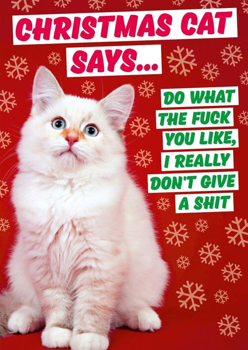 Christmas Cat Says Rude Christmas Card