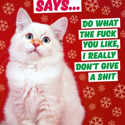El gato de Navidad dice una tarjeta de Navidad grosera
