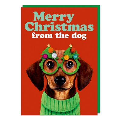 Buon Natale dal cane Cartolina di Natale divertente