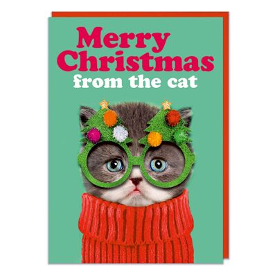Merry Christmas from the cat Funny Christmas Card
