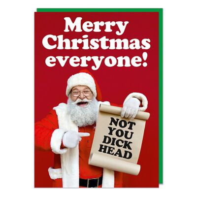 Not you dickhead Rude Christmas Card