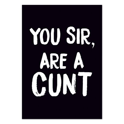 You Sir, Are A C*nt Rude Postcard