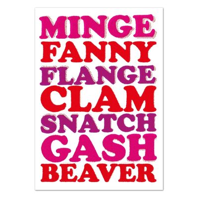 Minge Fanny Flangia... Cartolina Divertente