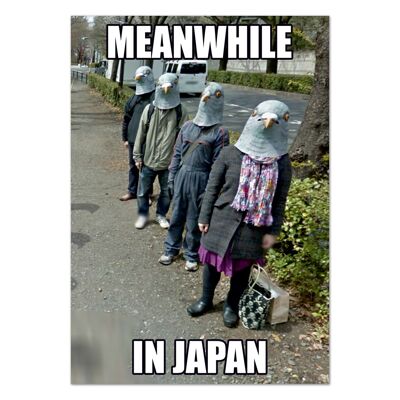 Meanwhile In Japan Postcard Funny