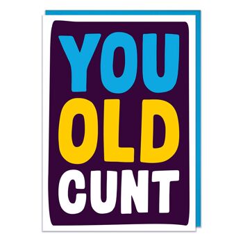 Carte d'anniversaire You Old C * nt Rude 1