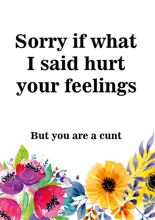 Sorry If I Hurt Your Feelings Rude Birthday Card