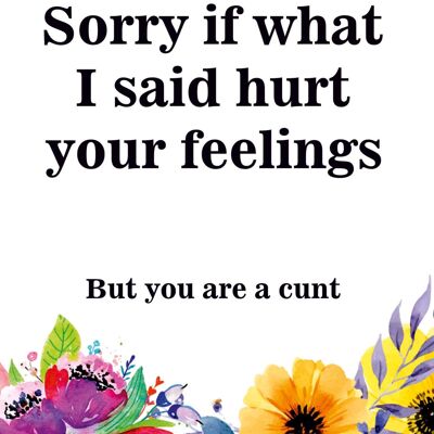 Sorry If I Hurt Your Feelings Rude Birthday Card
