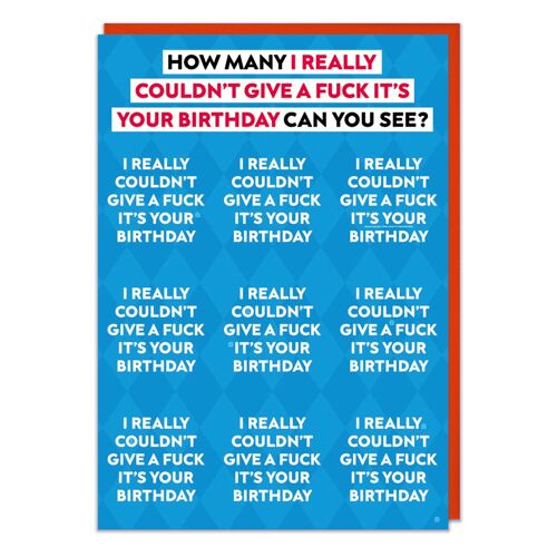 How many can you see Rude Birthday Card
