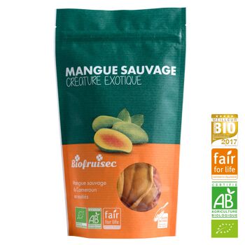 Mangue sauvage Bio équitable du Cameroun séchée en moitiés Sachet zip 100 g 1
