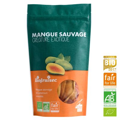 Fair trade organic wild mango from Cameroon dried in halves Zip bag 100 g
