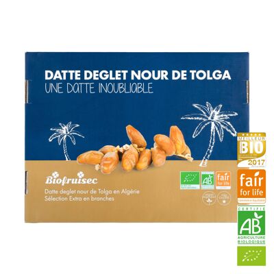 Fair Trade Organic Deglet Nour date from Tolga in Algeria Extra Selection in branches Display box 5 kg