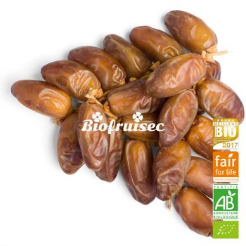 Datte Deglet Nour Bio équitable de Tolga en Algérie Sélection Extra en branches Boite présentoir 5 kg 2